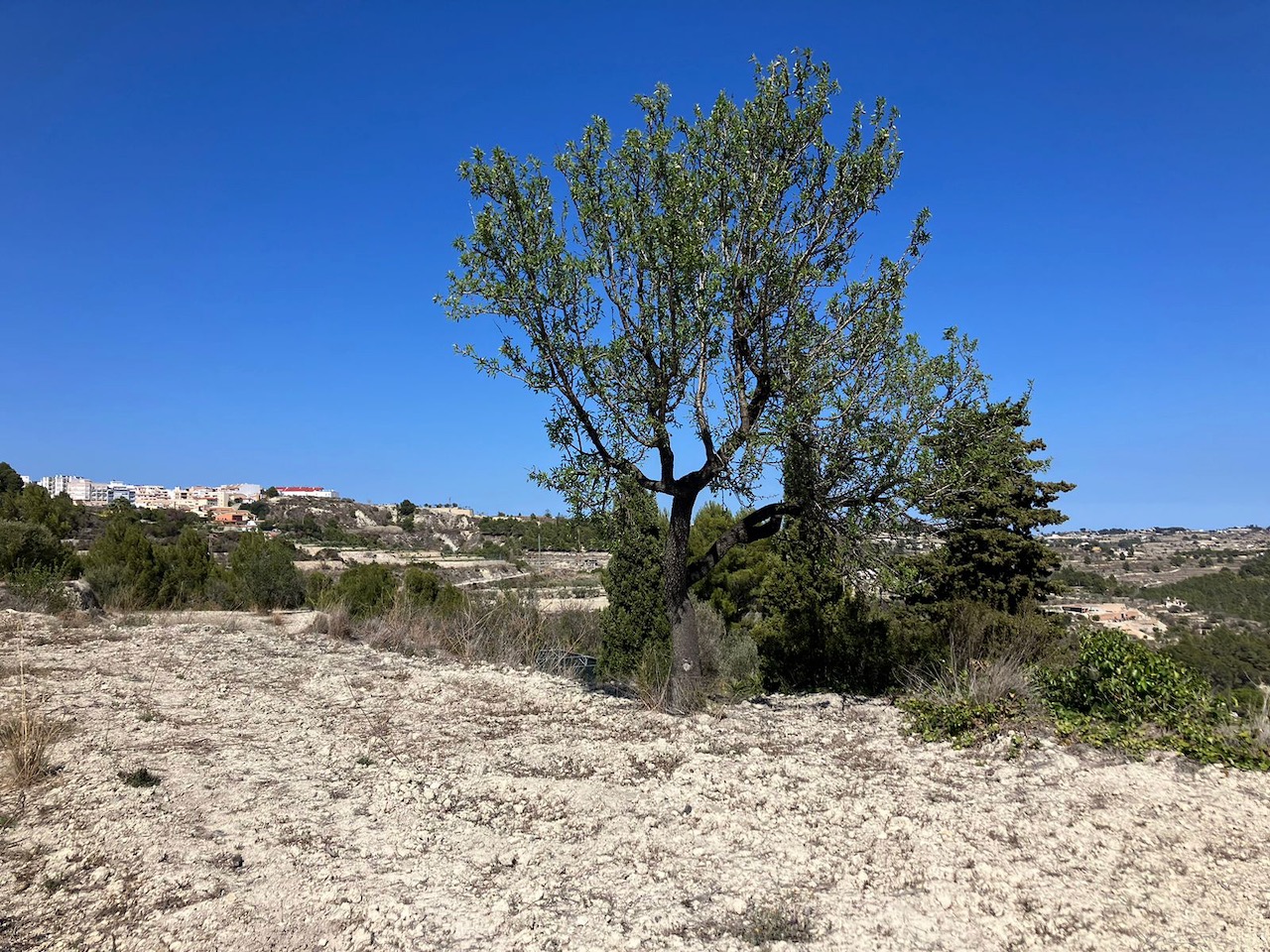 Parcela rústica en venta en Benissa zona Benissa